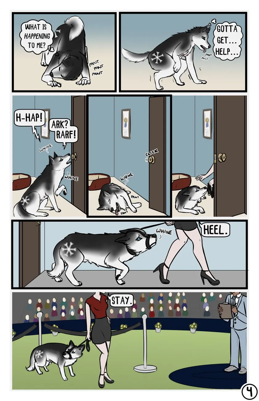 Page 4