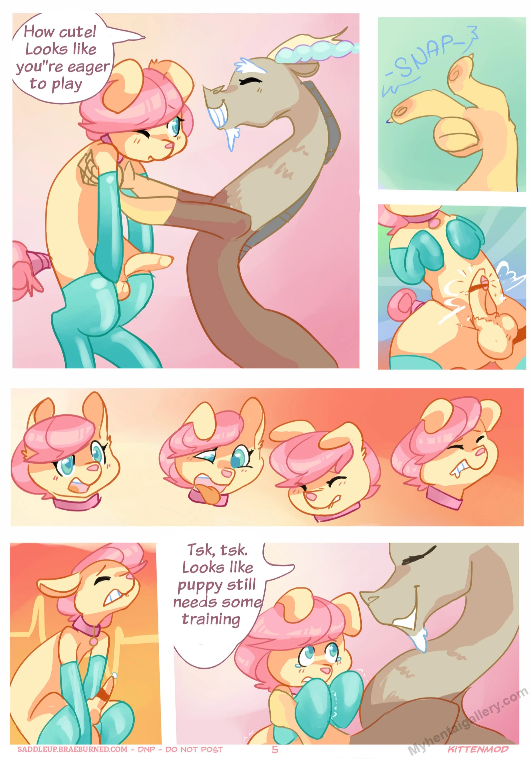 Page 5