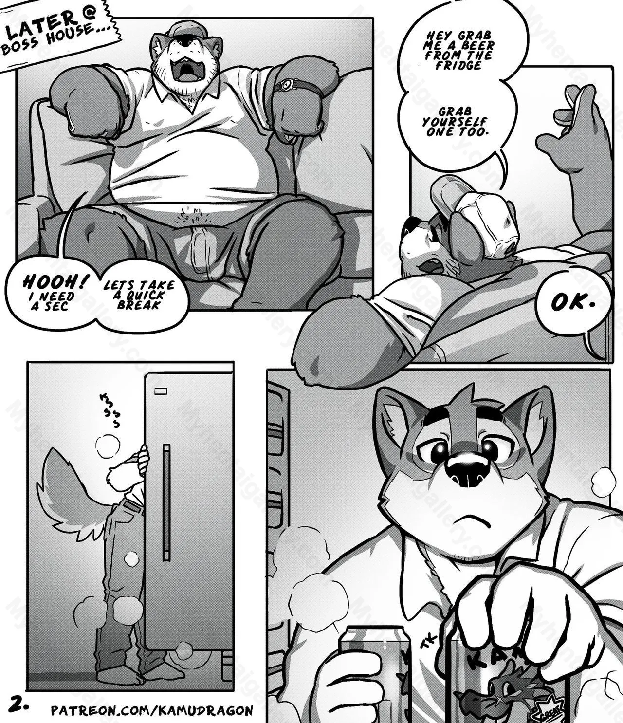 Page 3