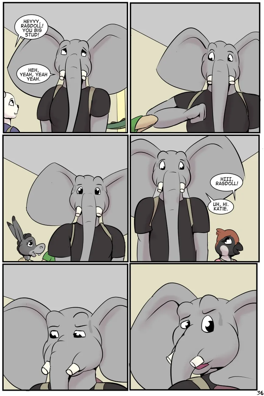 Page 37