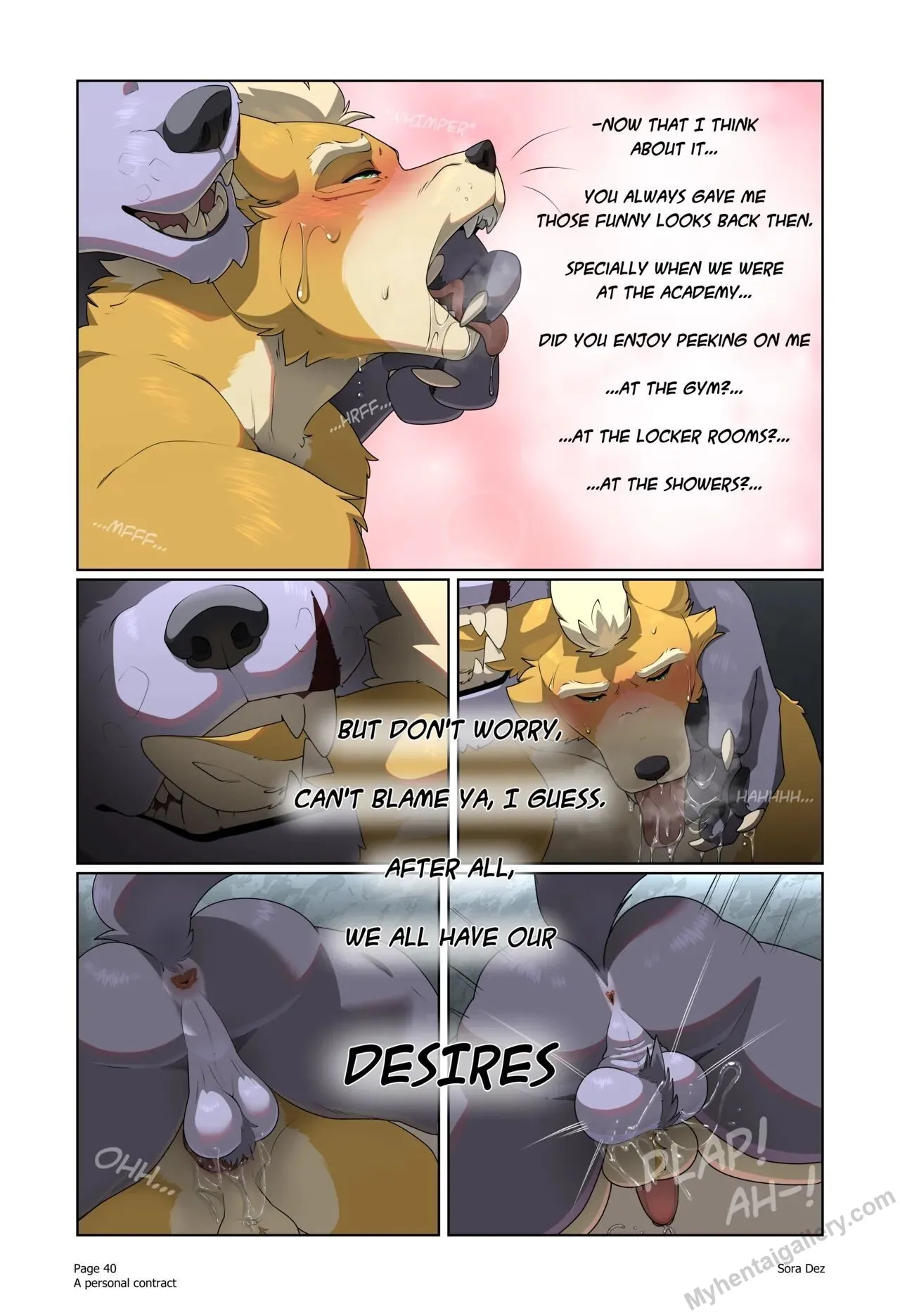 Page 41