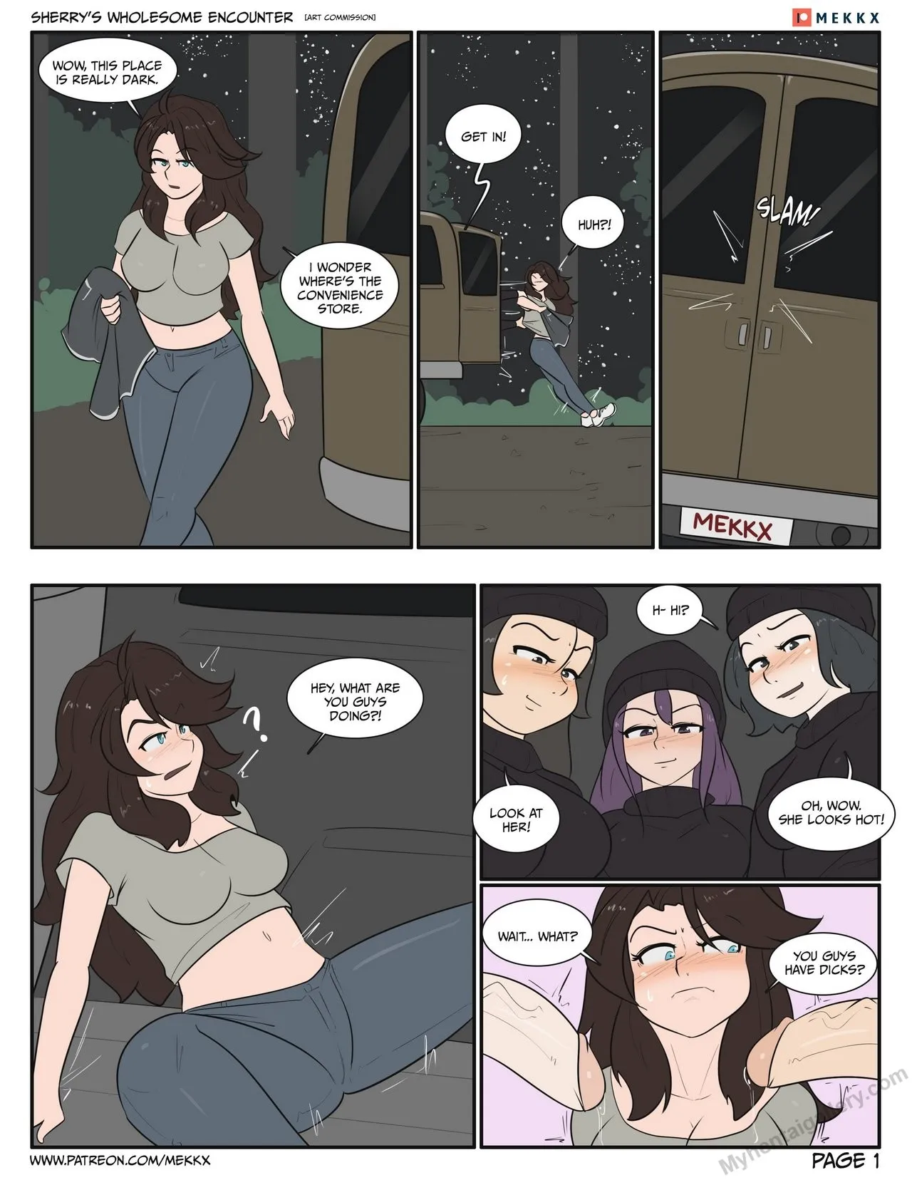 Sherry's Wholesome Encounter porno comics Cover