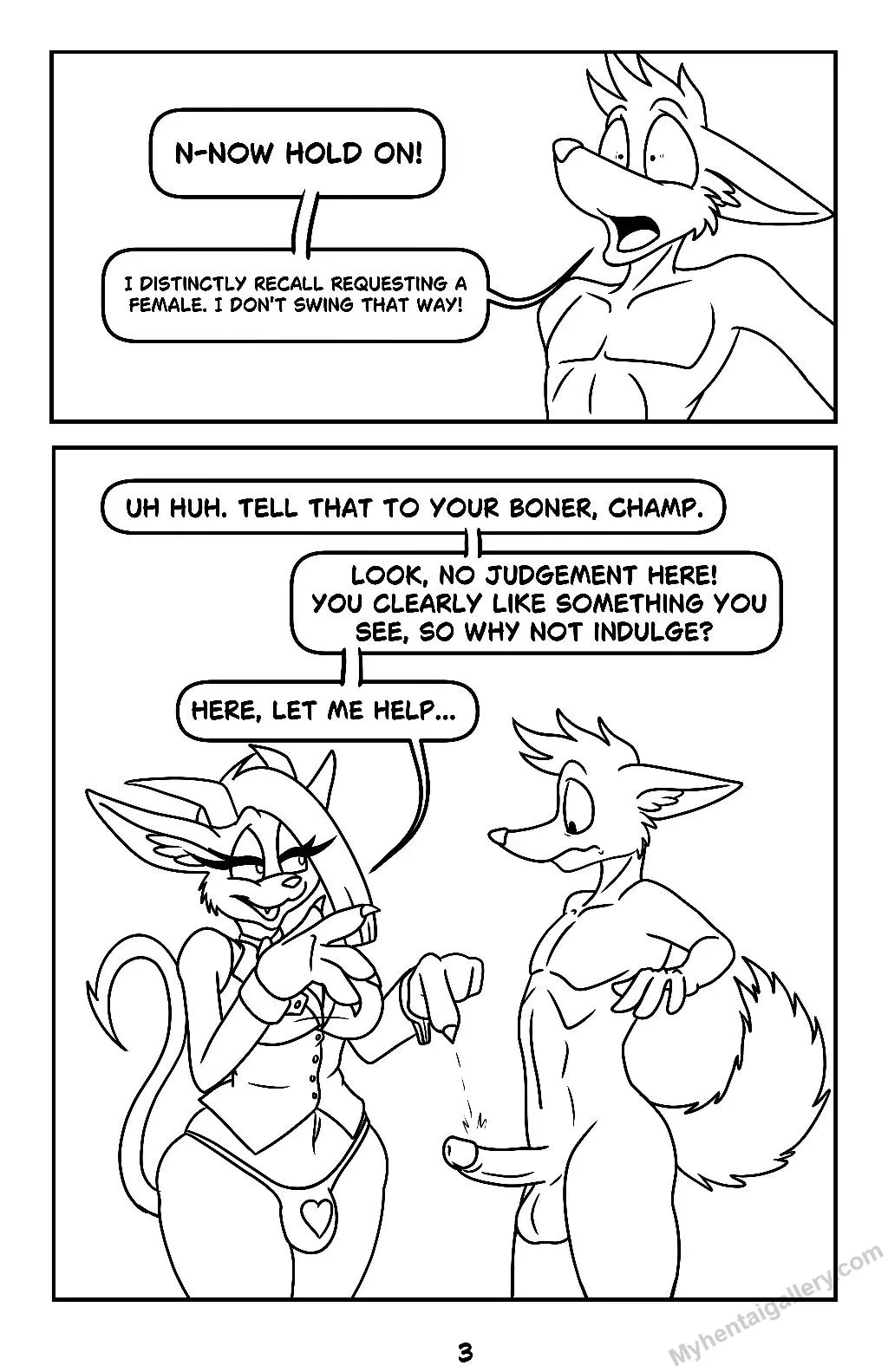 Page 3