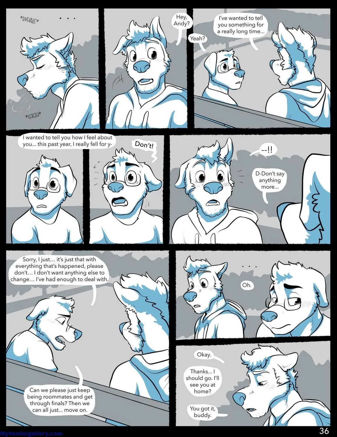Page 37