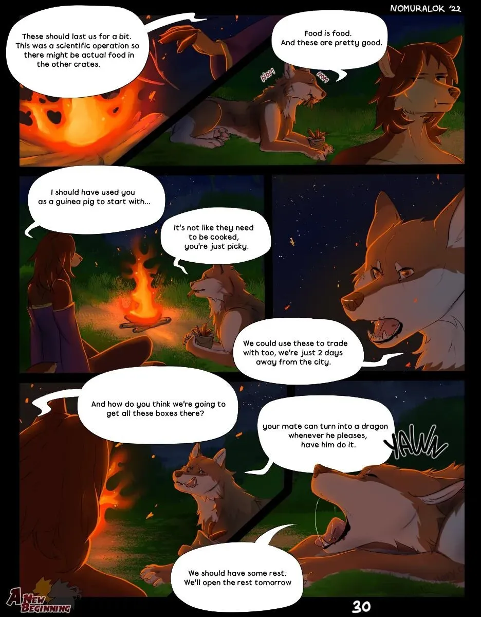 Page 41
