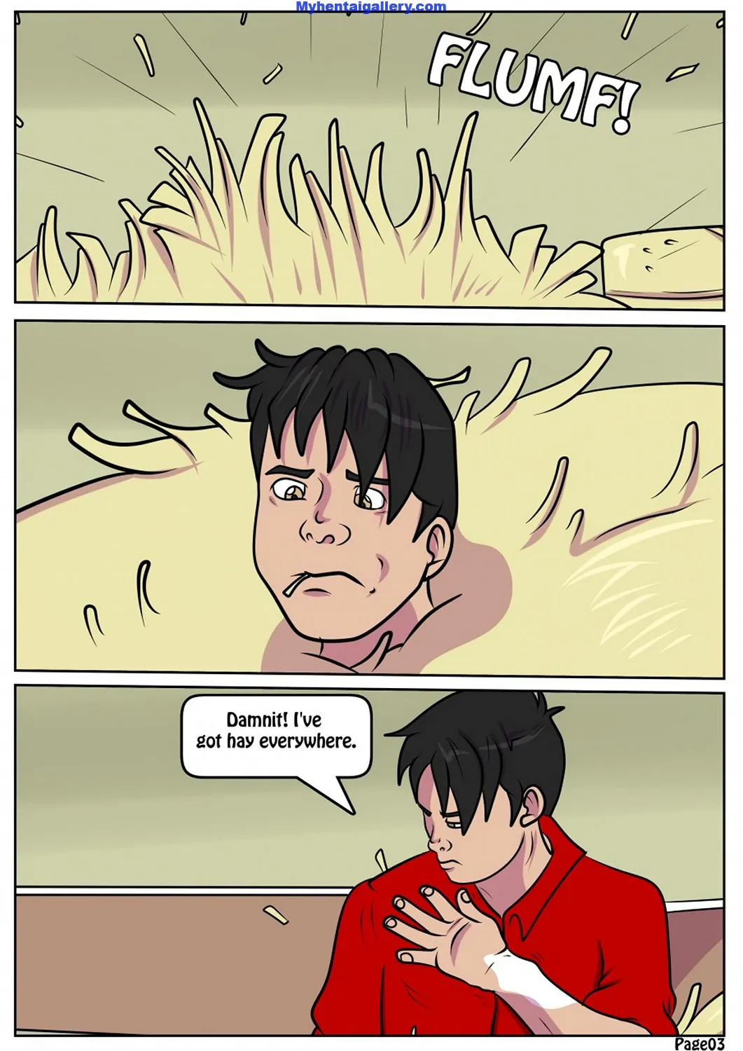 Page 3