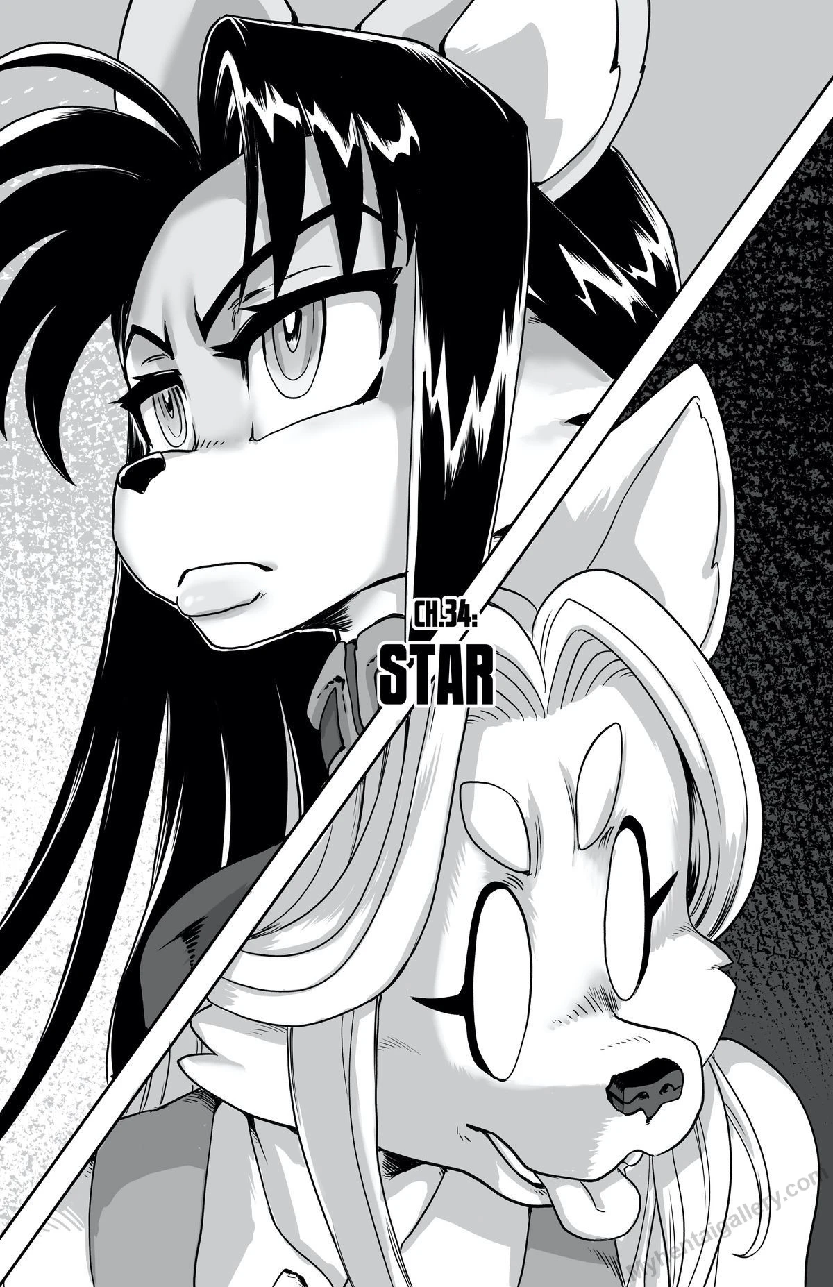 Furry Fight Chronicles 34 - Star porno comics