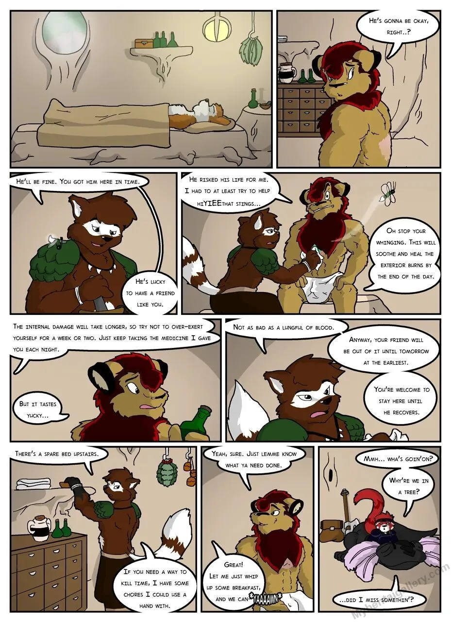 Page 51