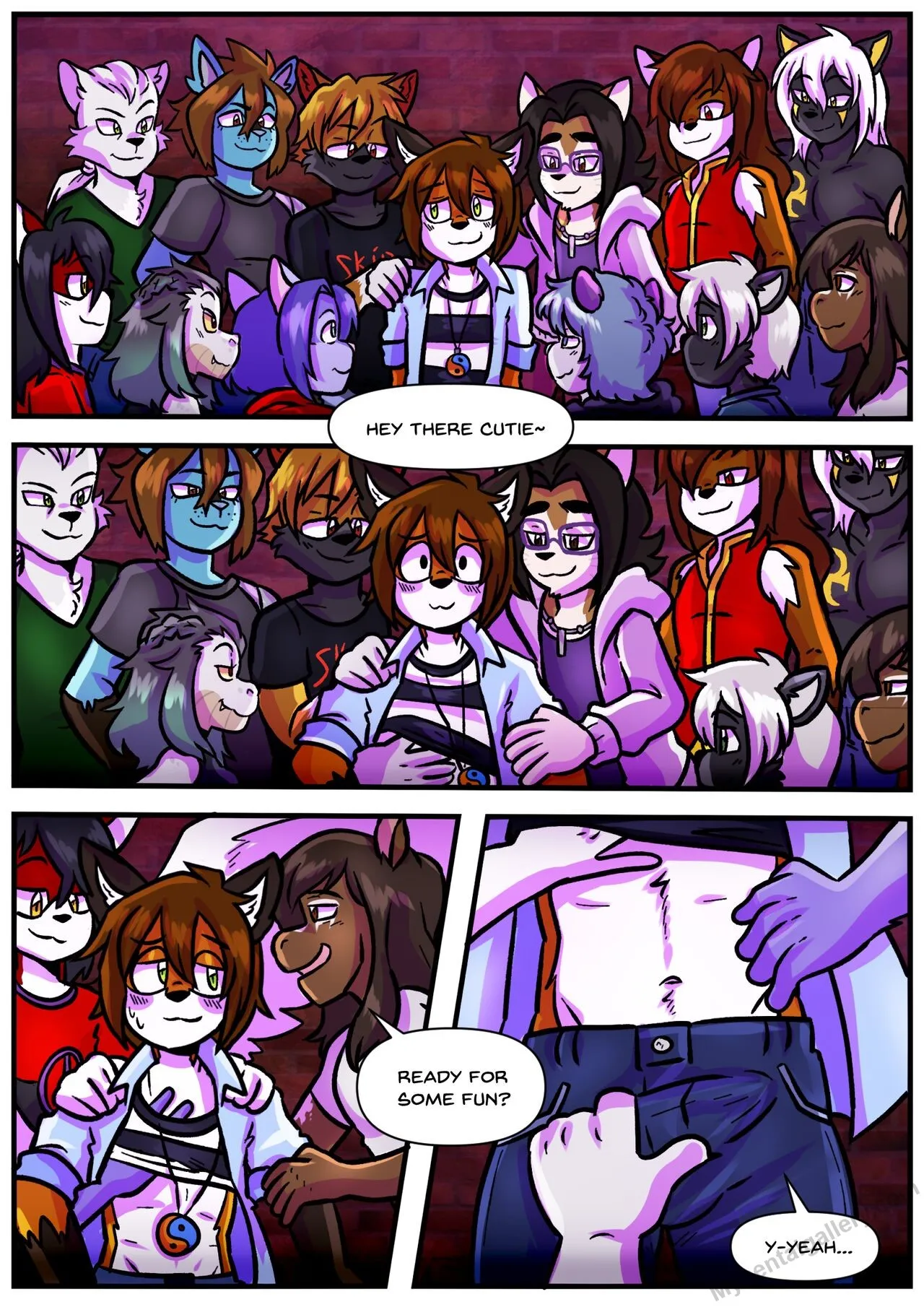 Page 3