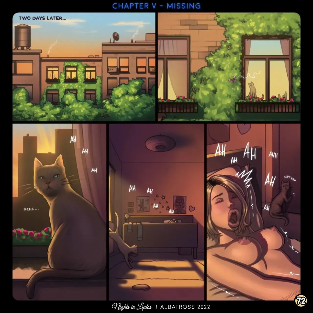 Nights In Ludos 5 - Missing porno comics Cover