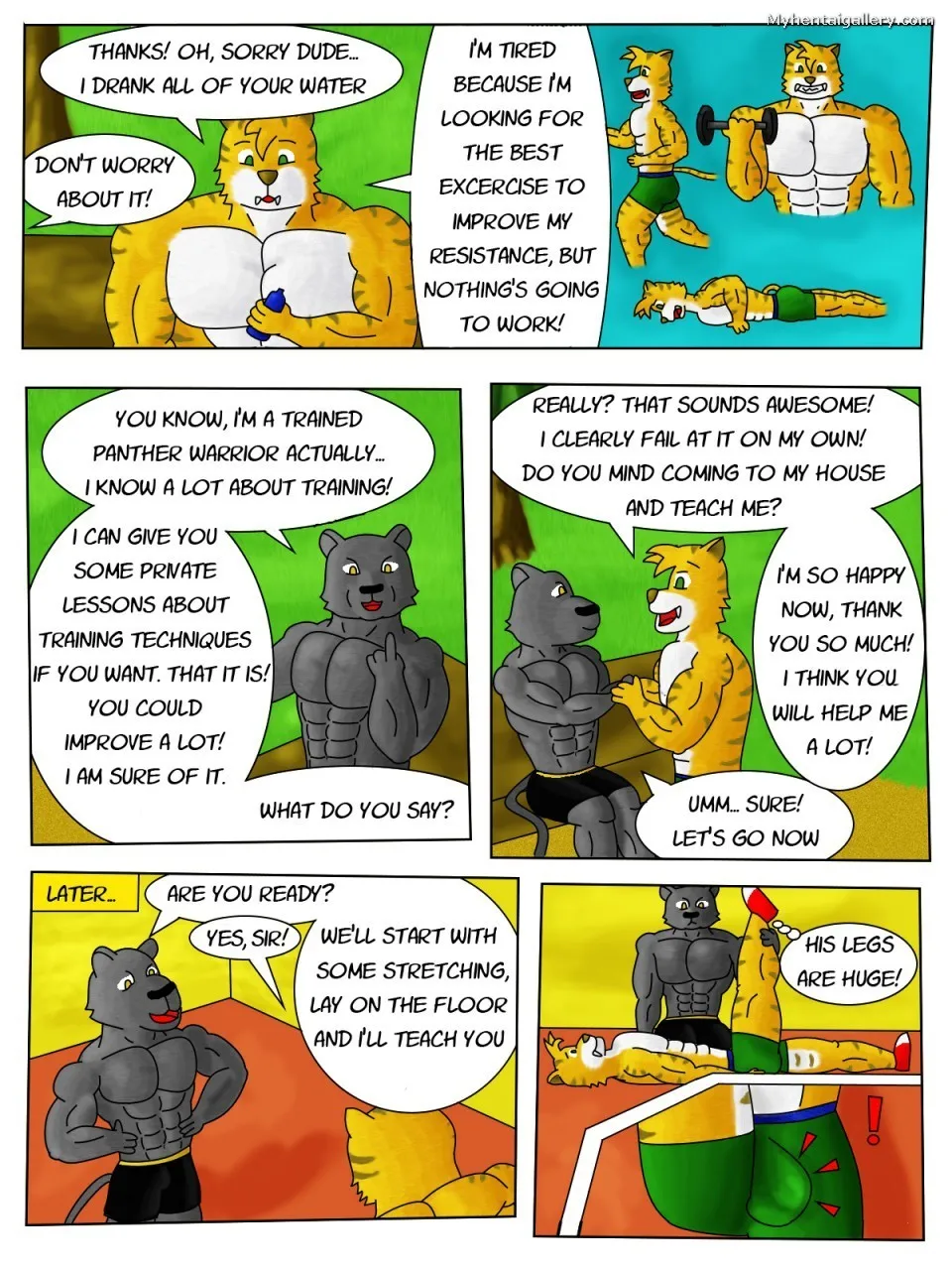 Page 3