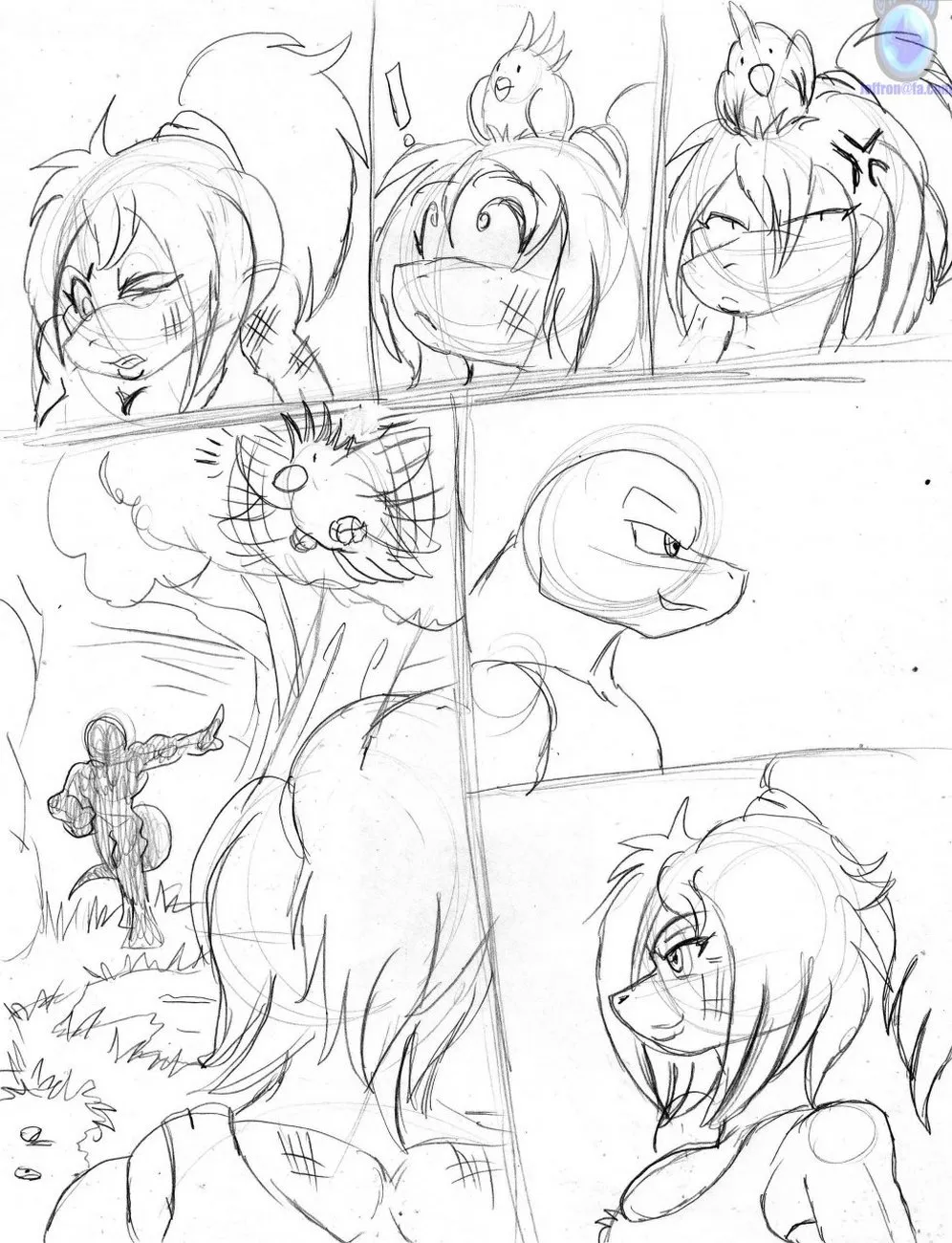 Page 3