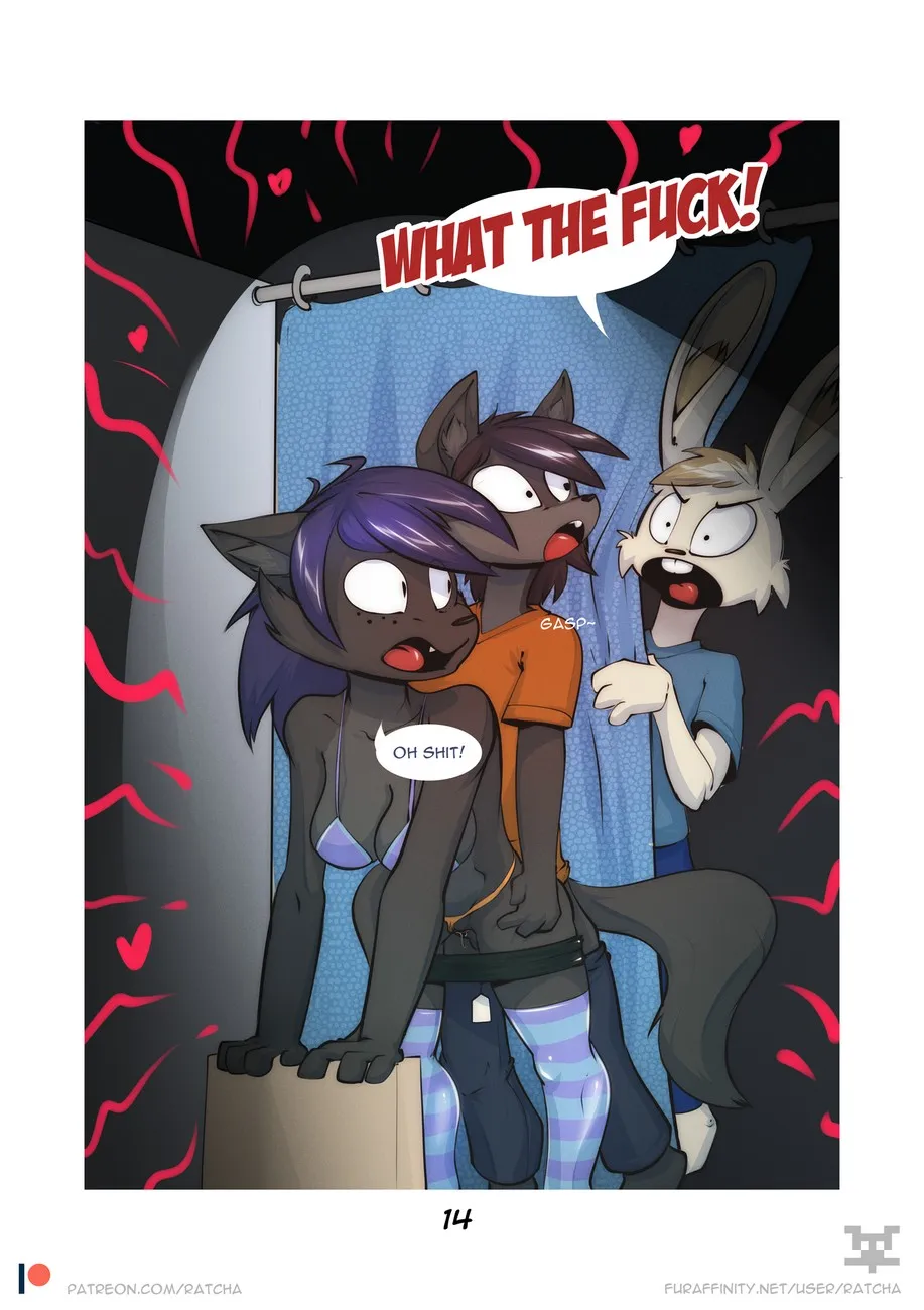 Page 14