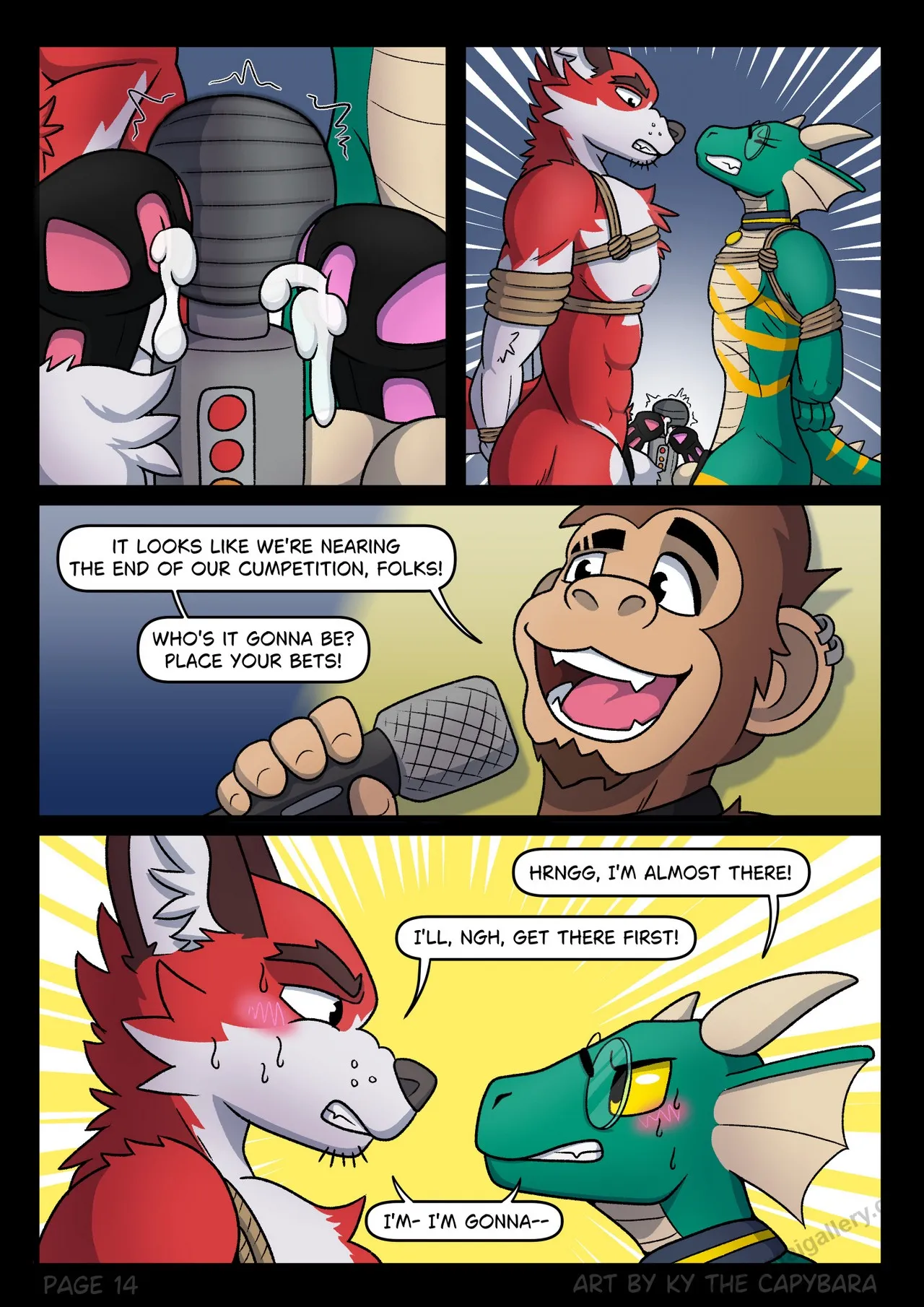 Page 15