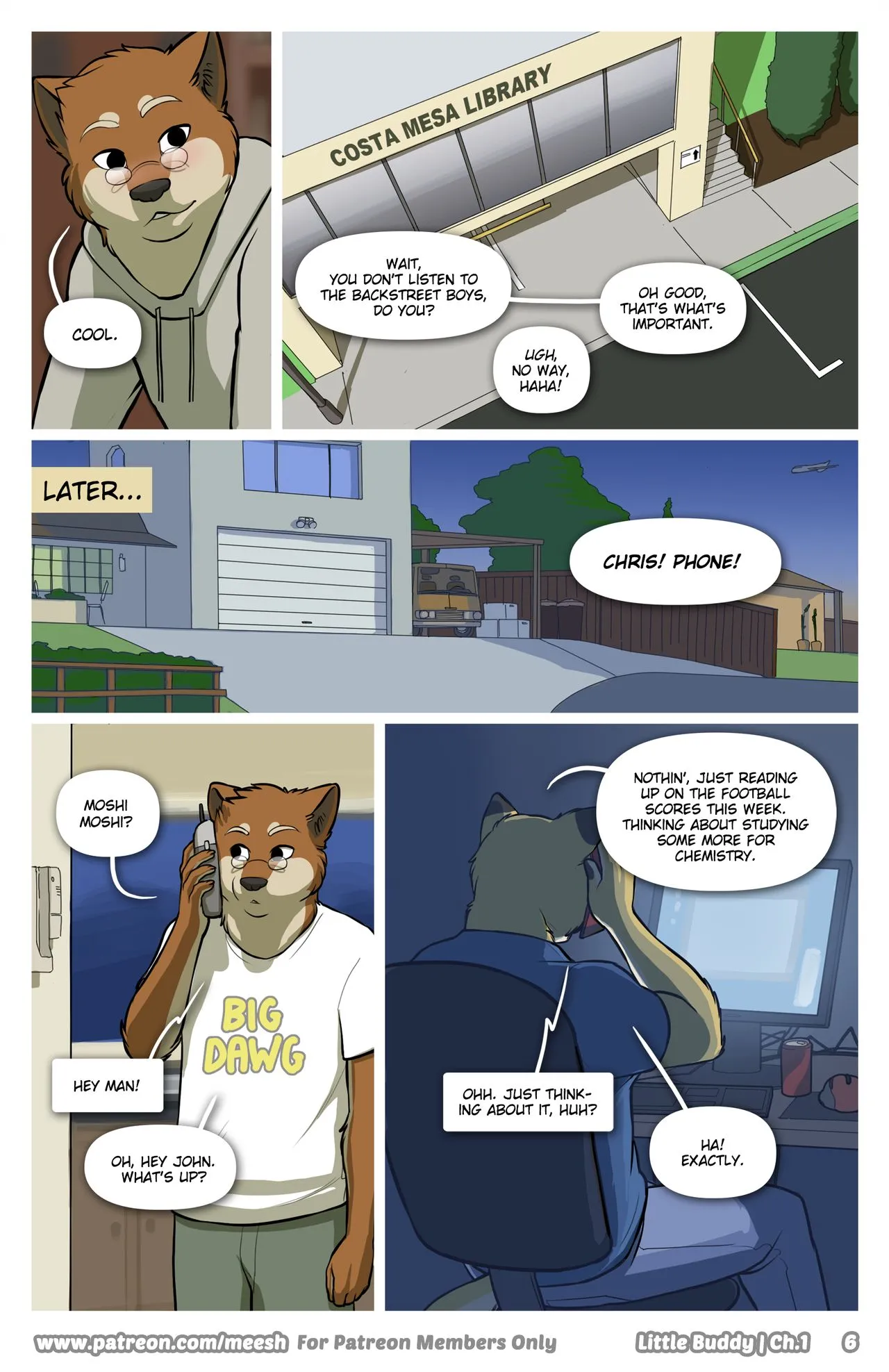 Page 7