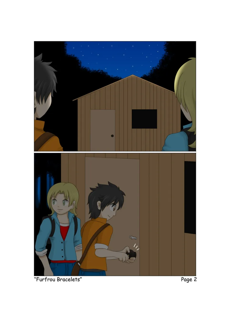 Page 3