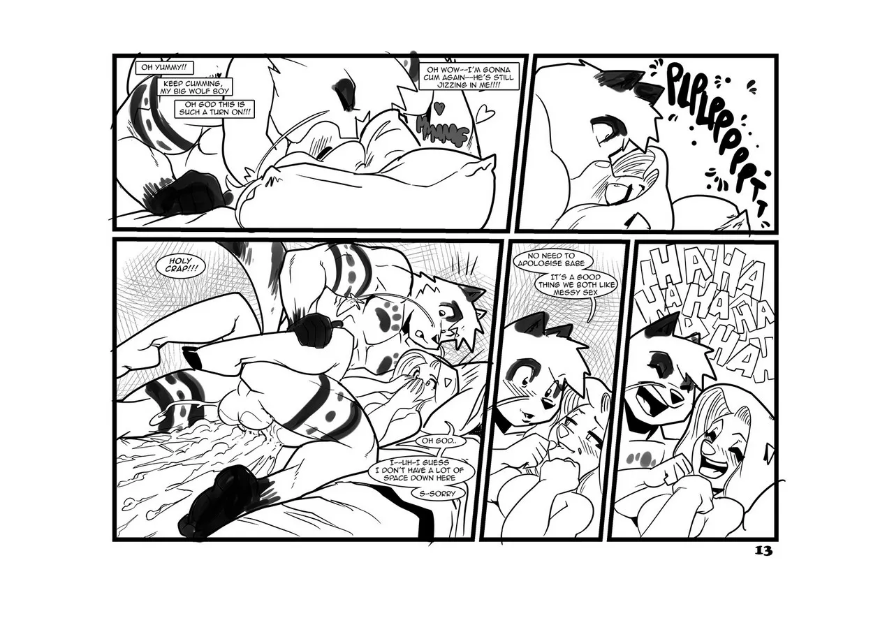 Page 13