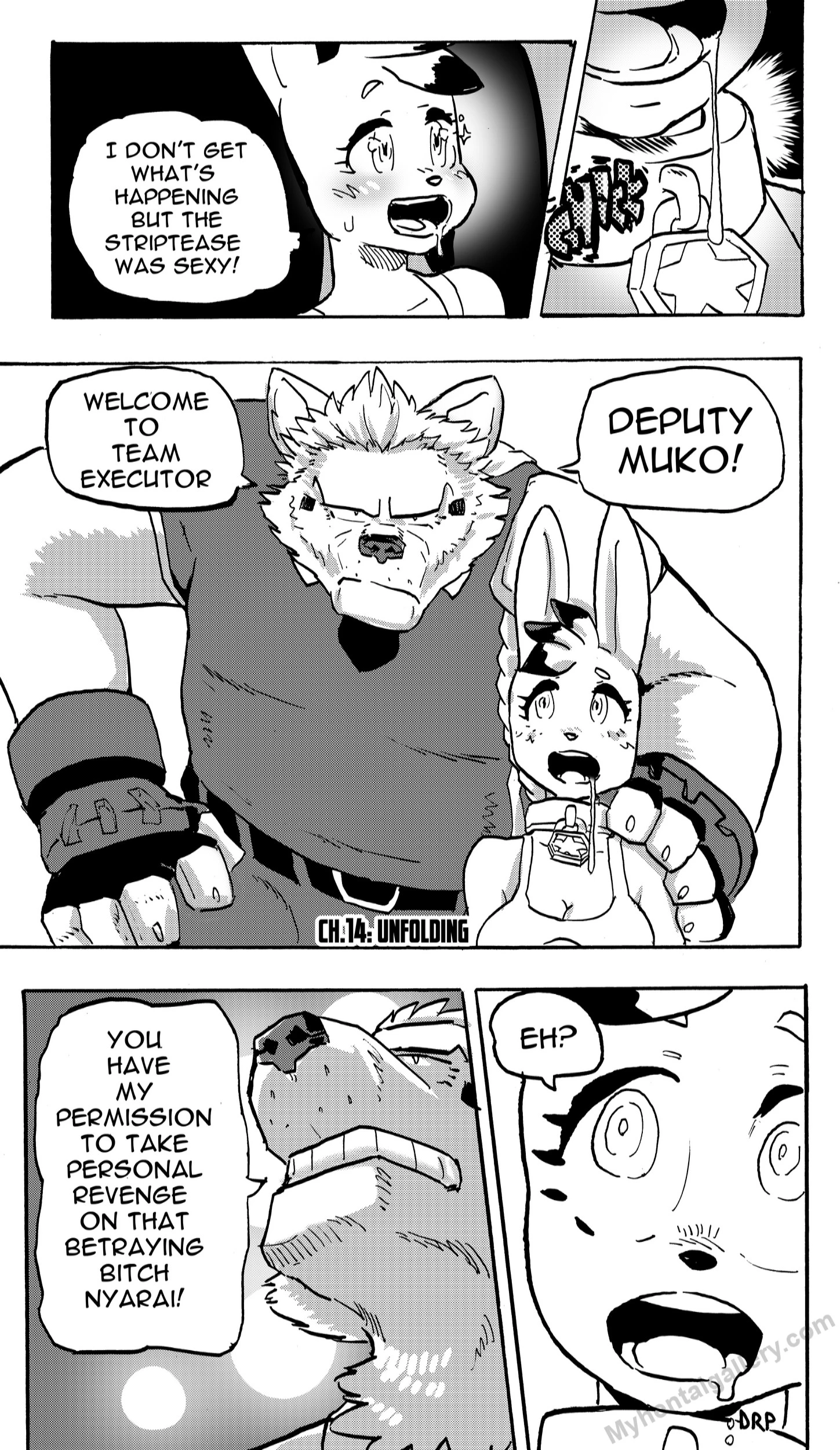 Furry Fight Chronicles 14 - Unfolding porno comics