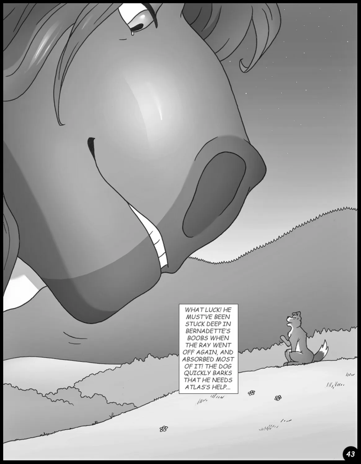 Page 43