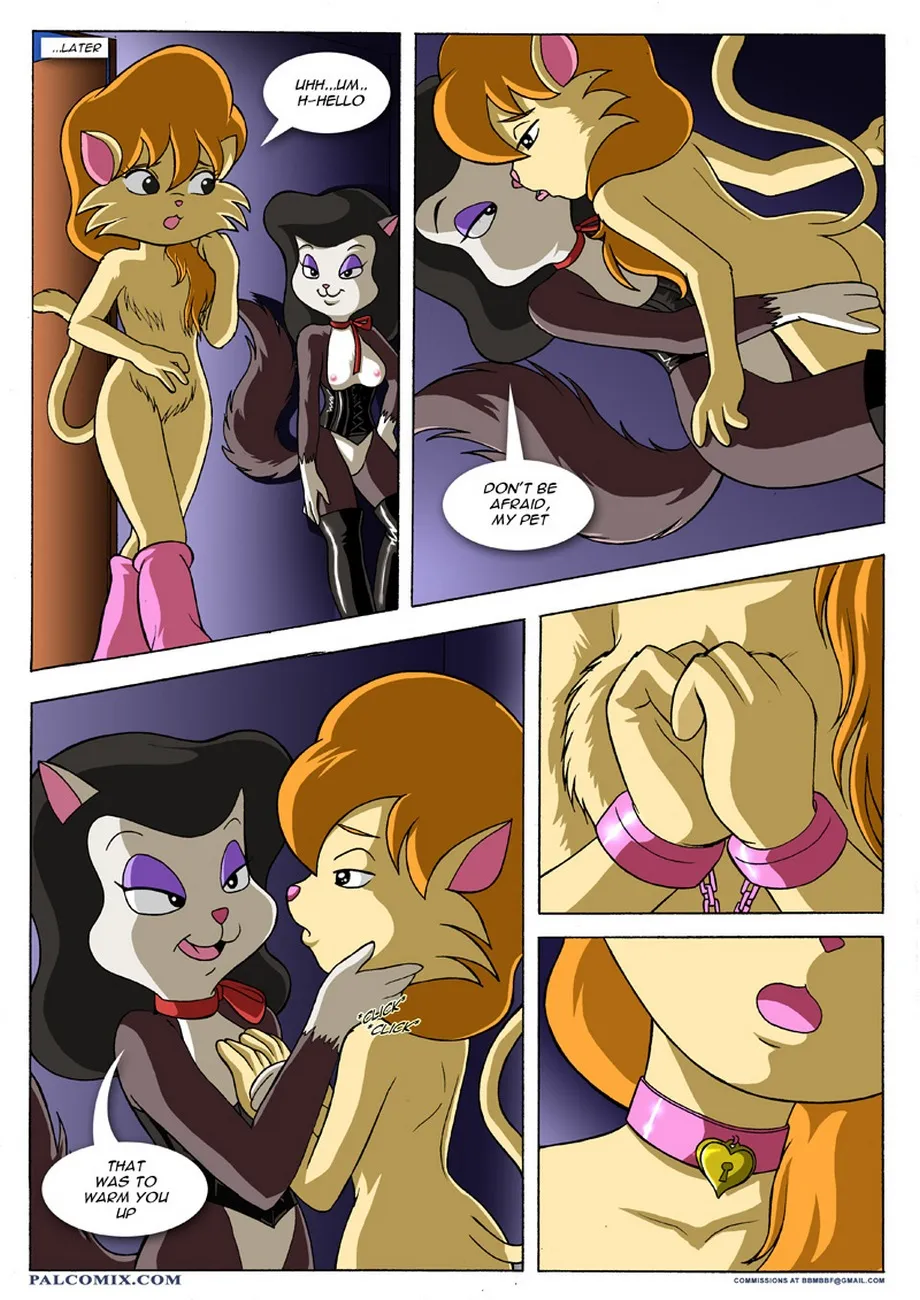Page 11