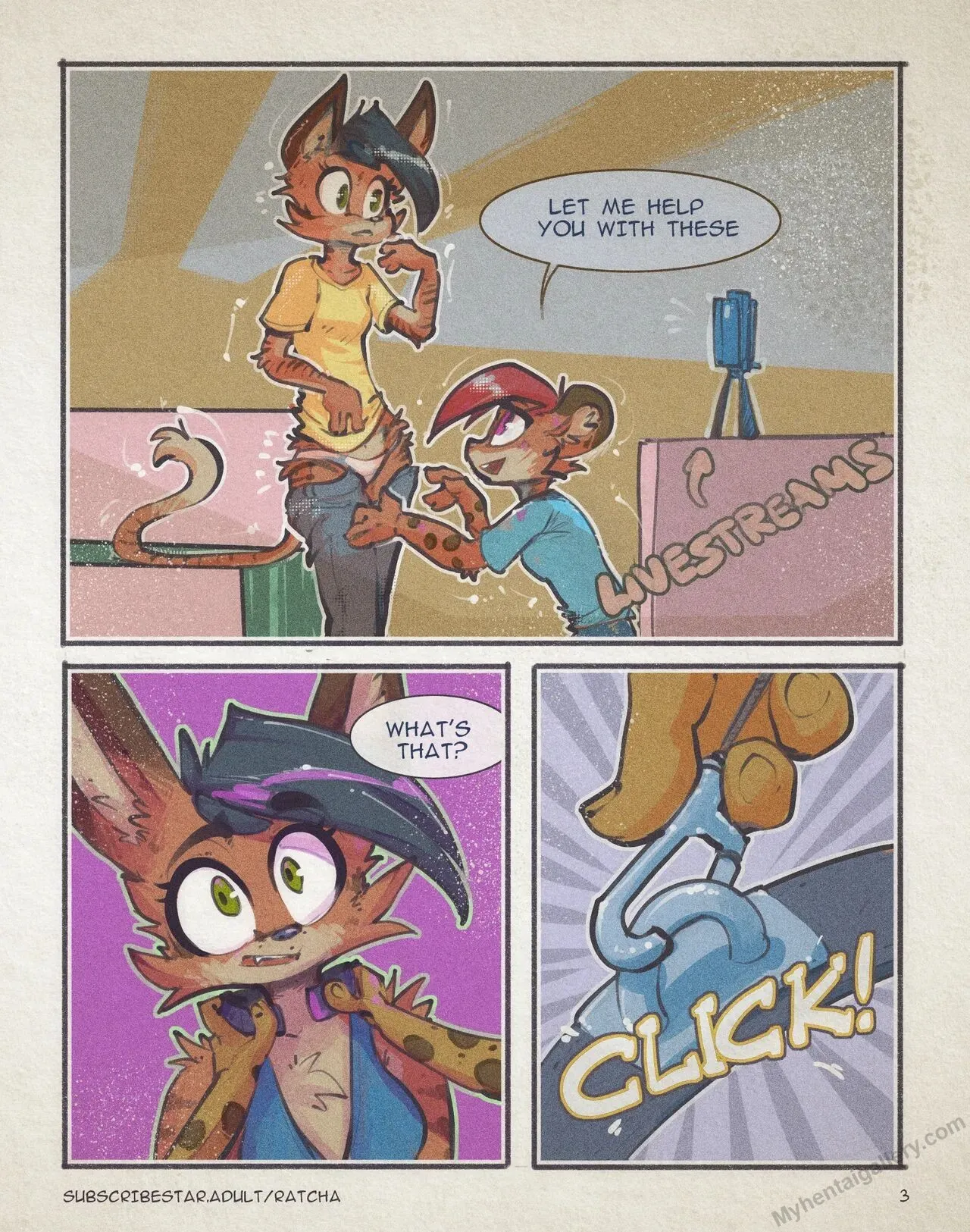 Page 3