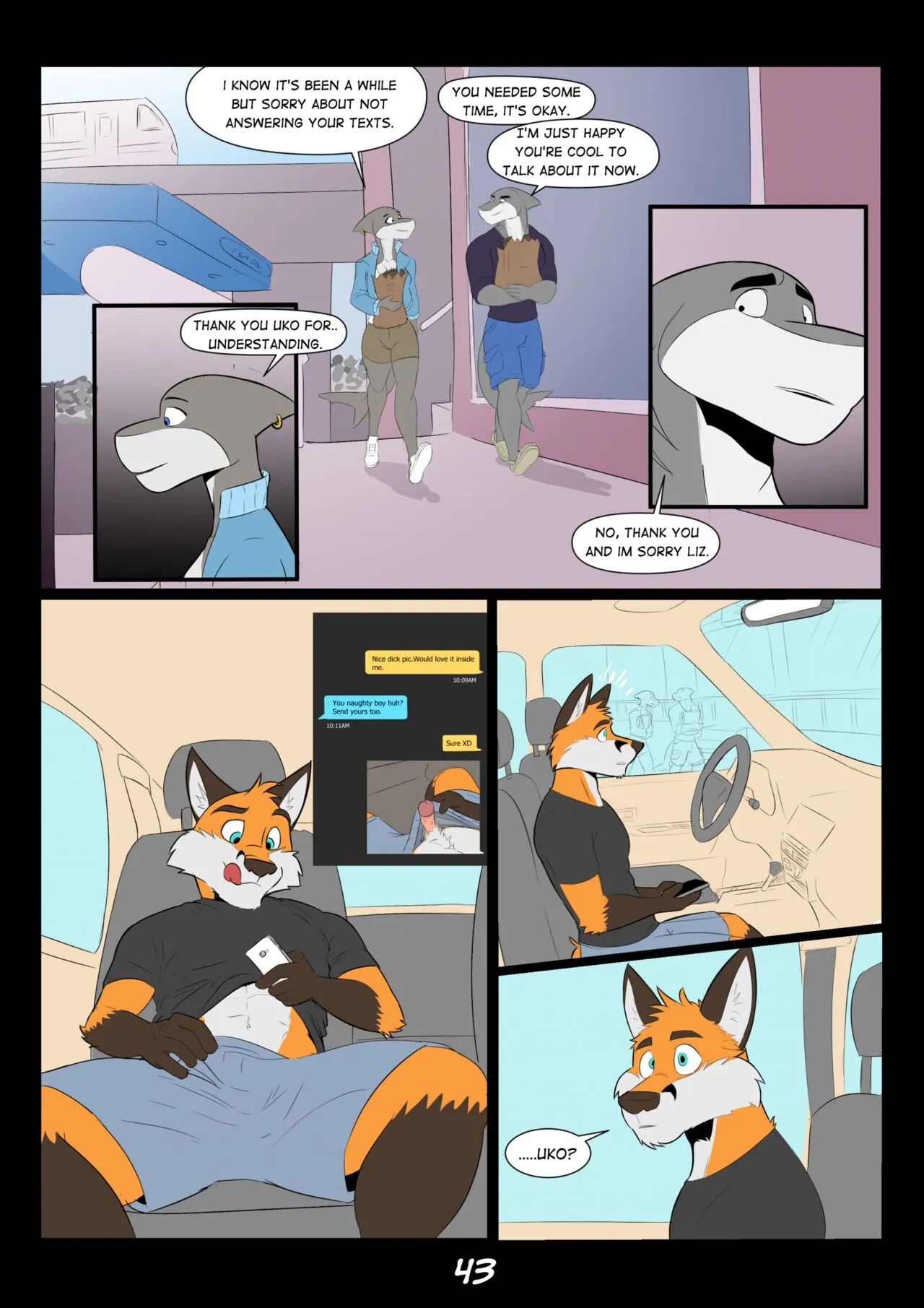 Page 43