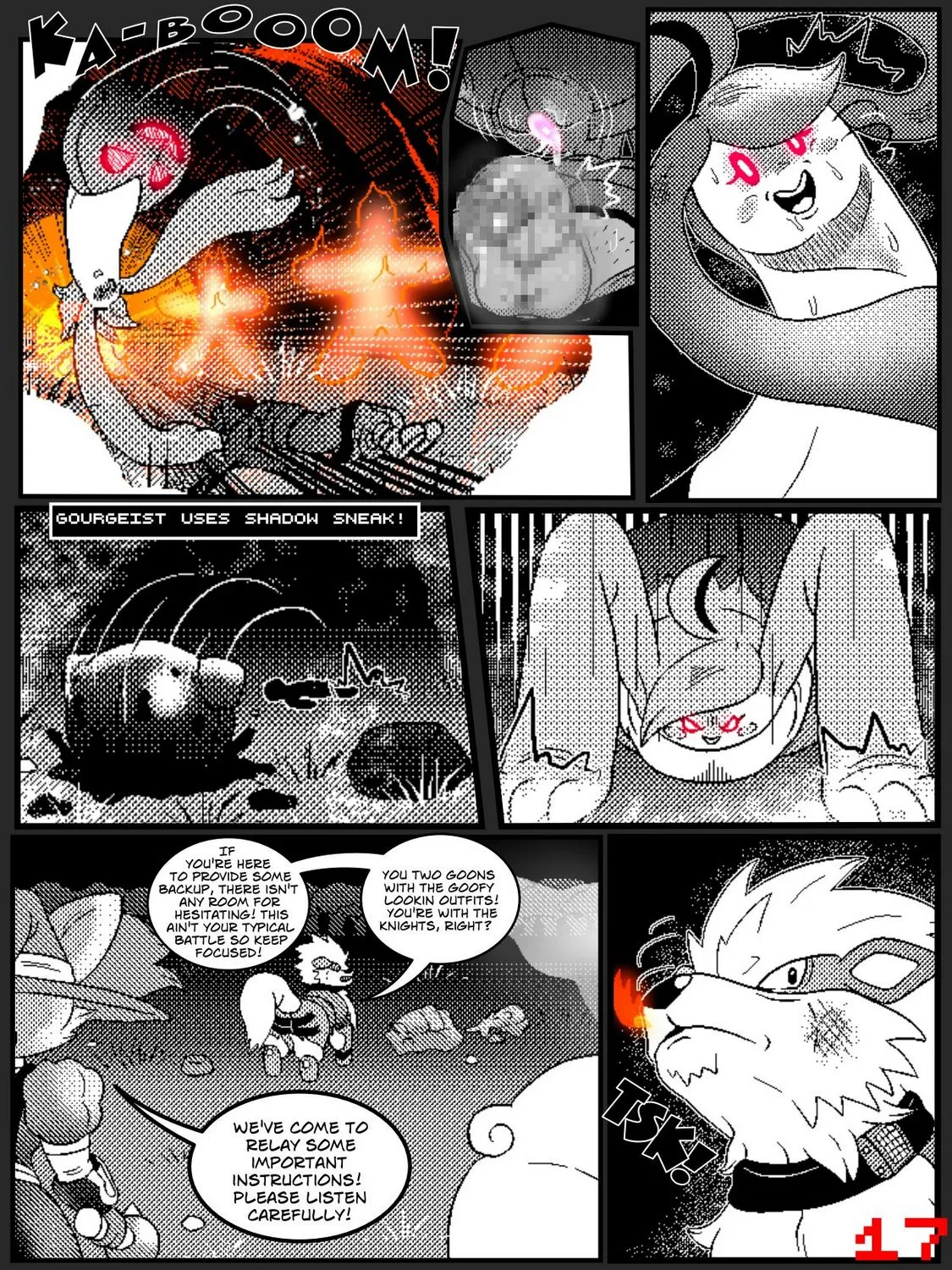 Page 17