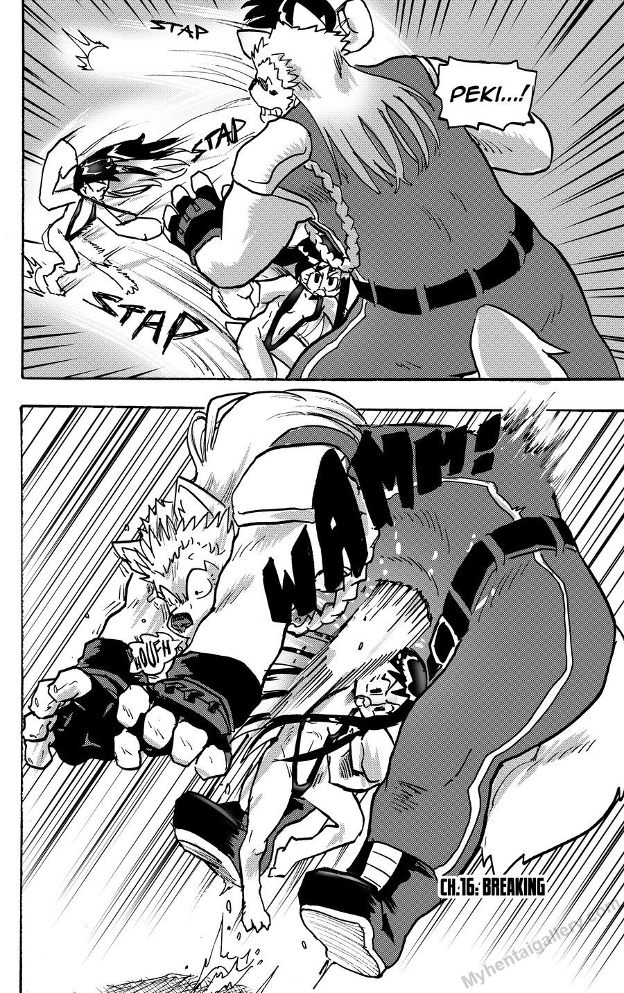 Furry Fight Chronicles 16 - Breaking porno comics