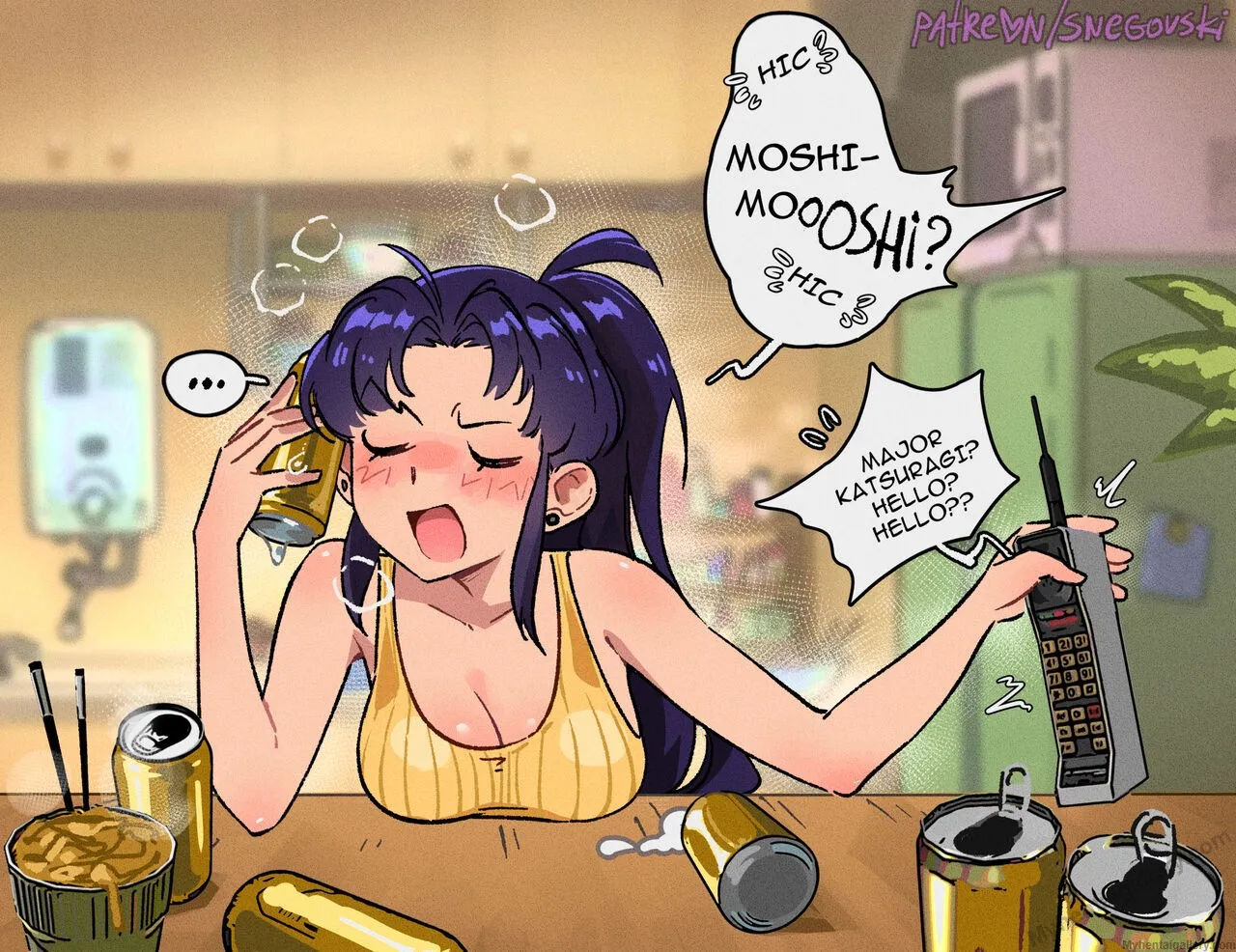 Misato's Days porno comics Cover