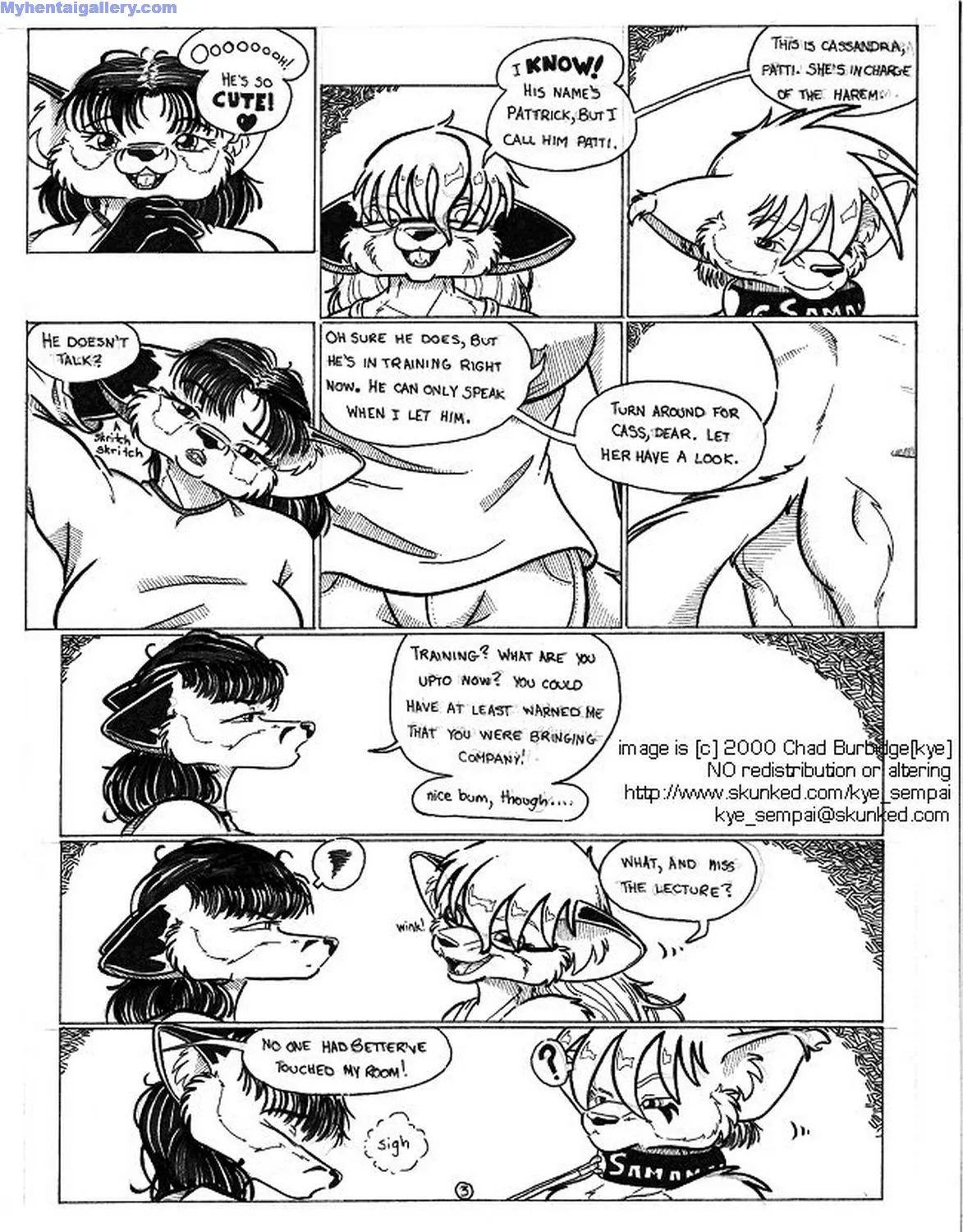 Page 4