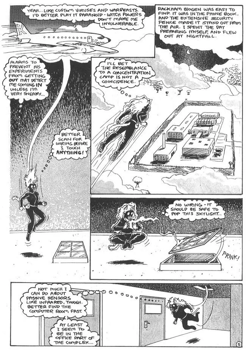 Page 5