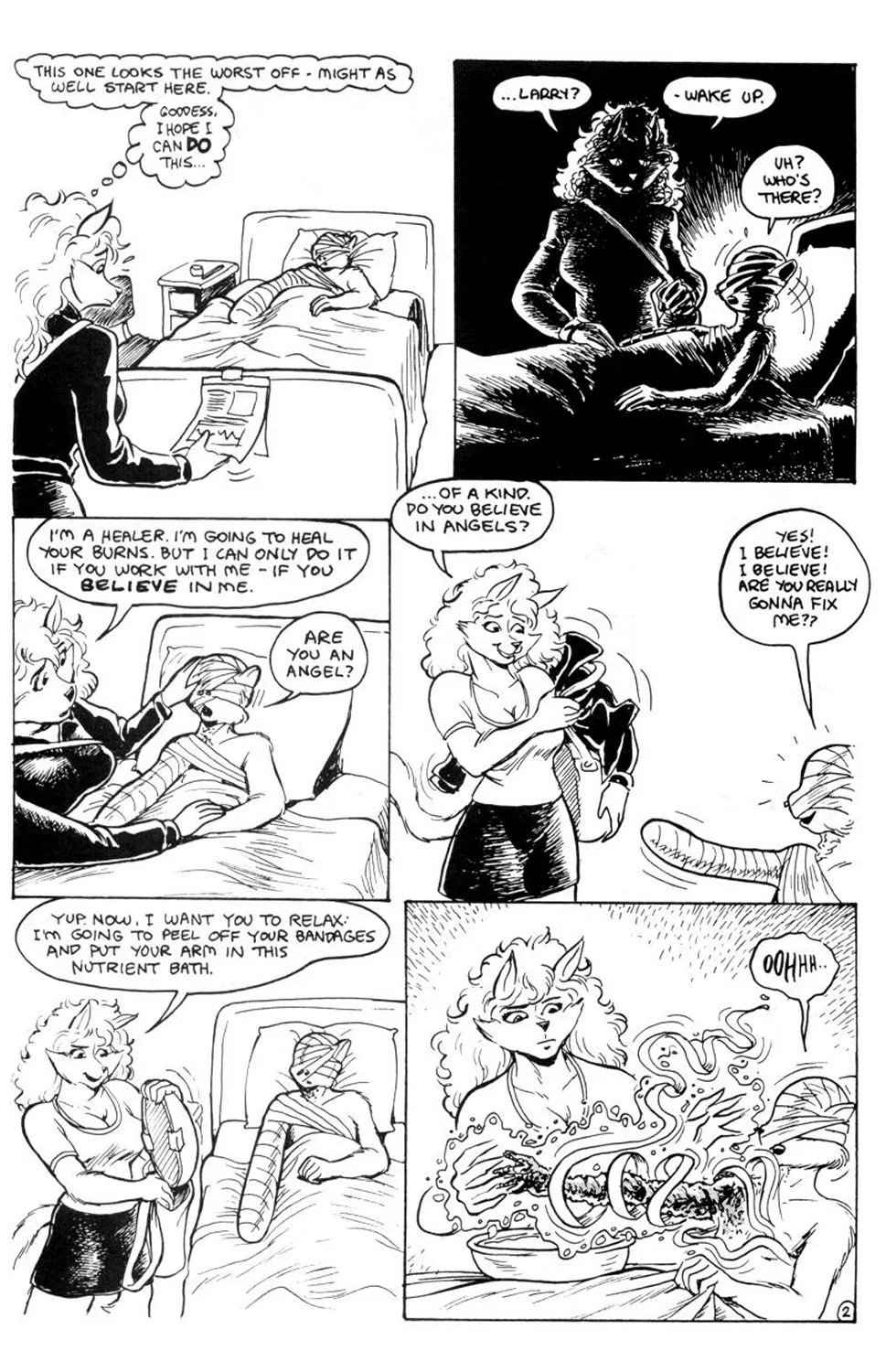 Page 2